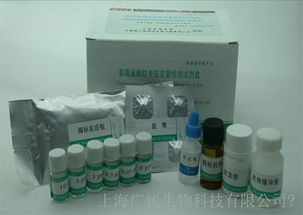 5 ht 小鼠5羥色胺elisa技術 96t 48t