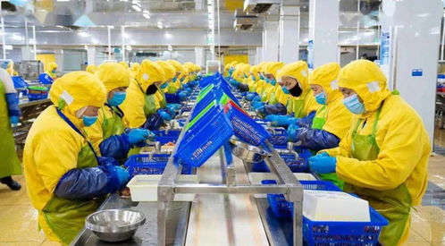 搶生產(chǎn),保供應(yīng) 國(guó)聯(lián)水產(chǎn)多措并舉硬核保障全國(guó)春節(jié)預(yù)制菜供應(yīng)