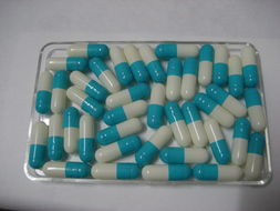 供應藥用空心膠囊